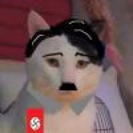 希特猫