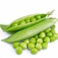 豌傲天