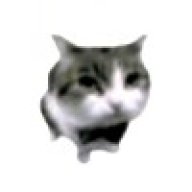疯狗孙政886