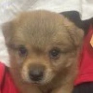 不会打起床的PC