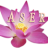 Aser